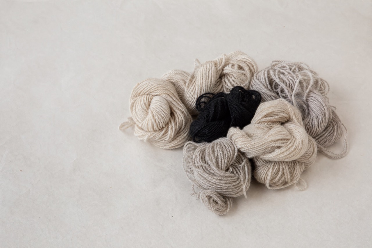 Undyed wool and one black skein. The complaint that started all of this was about wool like the dark one. Made for Percol.