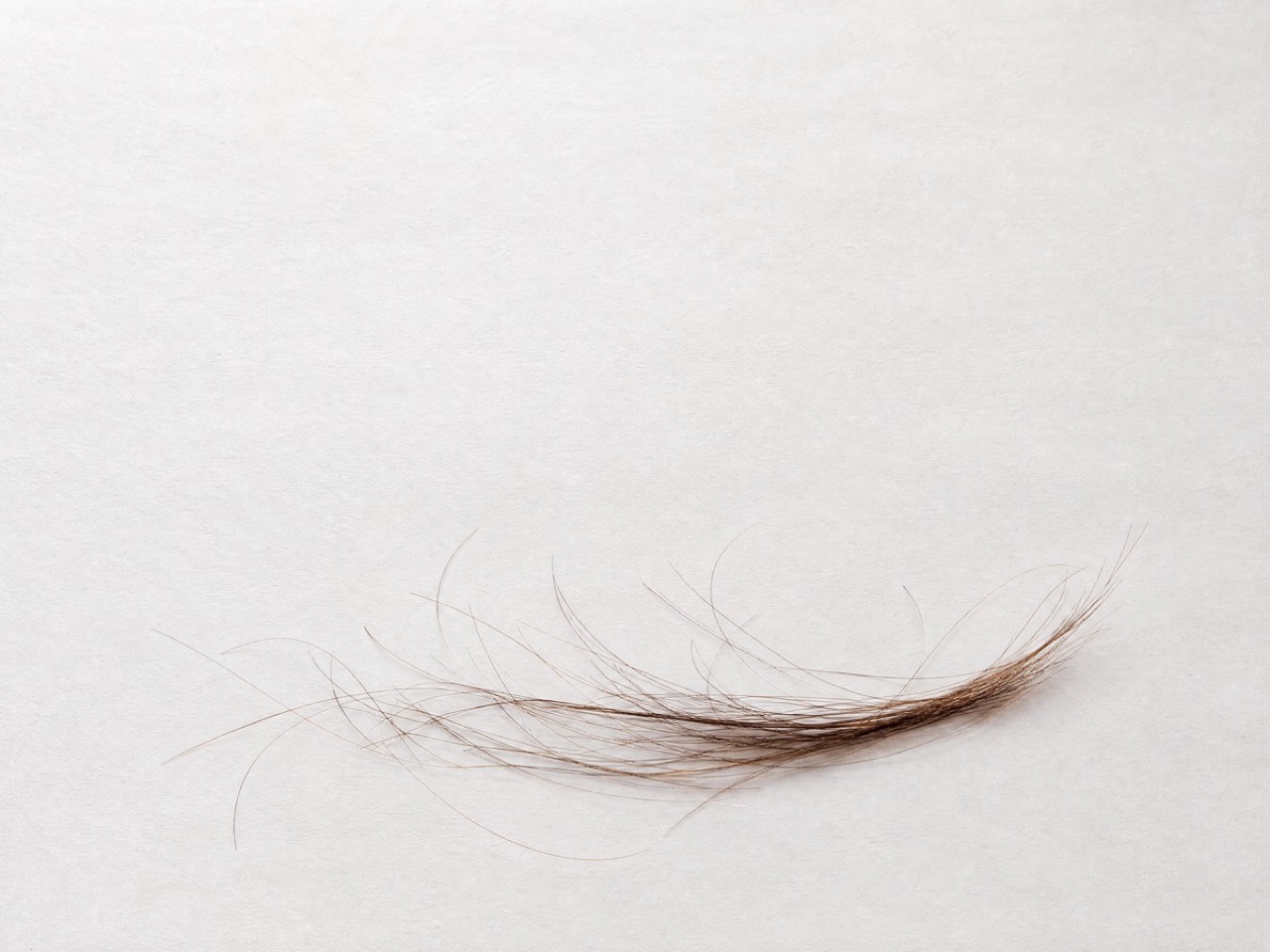 Human hair on paper: two pigments in some ratio, and the light running along a strand. Made for Percol.